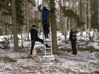 Linnunpönttöjen asennustalkoot Oksjärvellä 2019